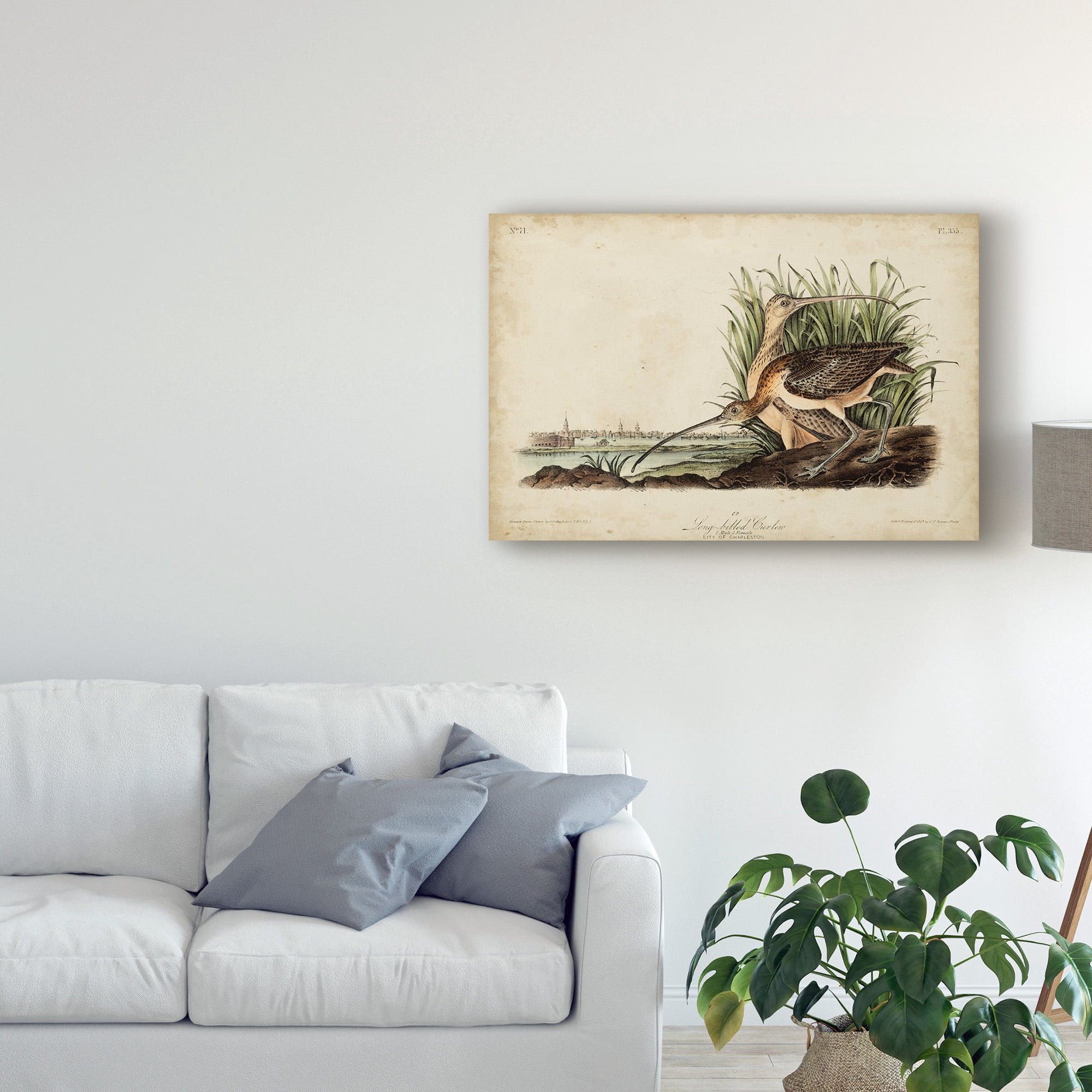 Trademark Fine Art 'Long Billed Curlew Bird' Canvas Art by John James Audubon