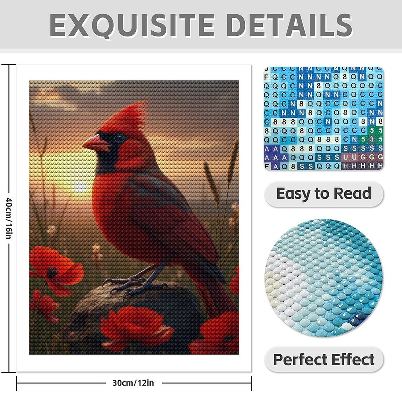 Diamond Art Kit for Adults, Modern Cardinal Bird Red Print No.82 Diamond Painting for Adults Beginners, 5D DIY Diamond Art Painting Kits, Colorful Diamond Painting Craft for Home Decor 12x16
