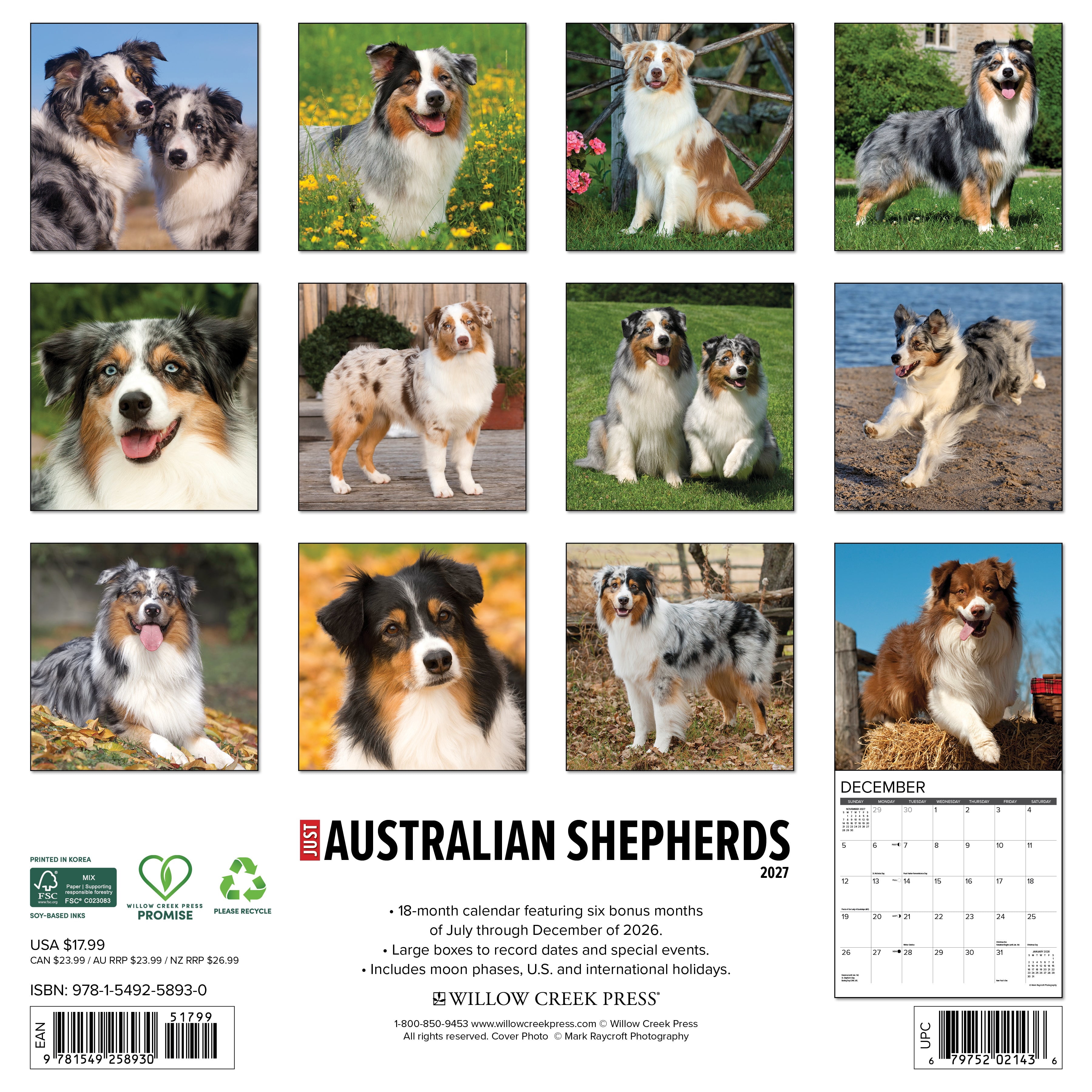 Willow Creek Press, Australian Shepherds 2027 Wall Calendar