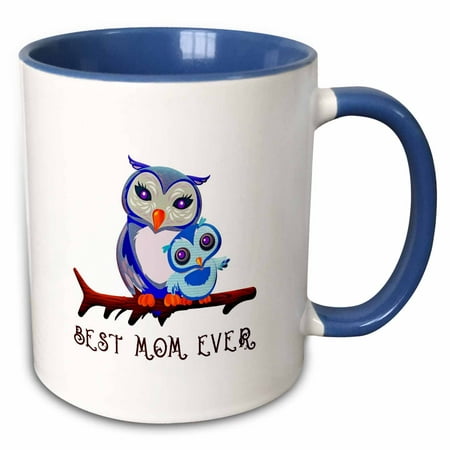 3dRose Breathtaking adorable owl mother and owl kid. Best Mom Ever - Two Tone Blue Mug,