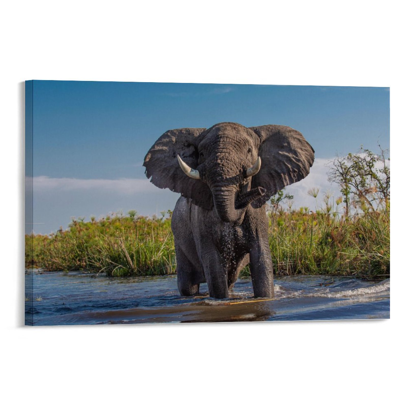 large elephant wall decor