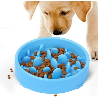 FOAUUH Slow Feeder Dog Bowls, Dog Slow Feeder Bowl, Puzzle Dog Food Bowl, Maze  Dog Food Bowl, Slow Feeder Dog Bowls Large Breed, Medium Breed, Small  Breed, Slow Eating Bowl, Puppy Bowl 