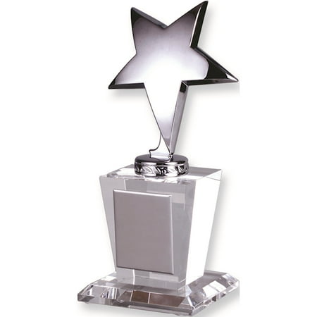 Optical Crystal Silver Star Glass Trophy Award Designer Jewelry by Sweet Pea
