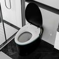 thumbnail image 2 of WinZo Bidet Toilet 10" Rough-in,Smart Toilet With Bidet,Oval Egg Modern Shaped, Auto Open/Flush, Adjusted Heated Seat, Warm Water and Dryer, Night Light, Matte Black, 2 of 8