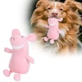 thumbnail image 1 of Collier de Récupération pour Chat Doux et Ajustable, Alternative au Léchage et aux Griffures, 1 of 3