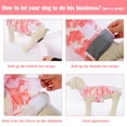 thumbnail image 5 of PUMYPOREITY Dog Surgical Recovery Suit, Dog Onesie After Surgery, Breathable Recovery Shirt for Dogs, Cone Collar Alternative, Pink Camouflage, 5 of 7