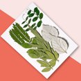 thumbnail image 4 of Hojas secas naturales DIY Hecho a mano artesado planta de hojas prensadas de decoración Decoración del hogar para tarjetas de boda Resina Vela verde hoja 6 sidaley HA010772-01, 4 of 7