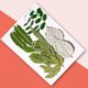 thumbnail image 4 of Hojas secas naturales DIY Hecho a mano artesado planta de hojas prensadas de decoración Decoración del hogar para tarjetas de boda Resina Vela verde hoja 6 Yuarrent HA010772-01, 4 of 7