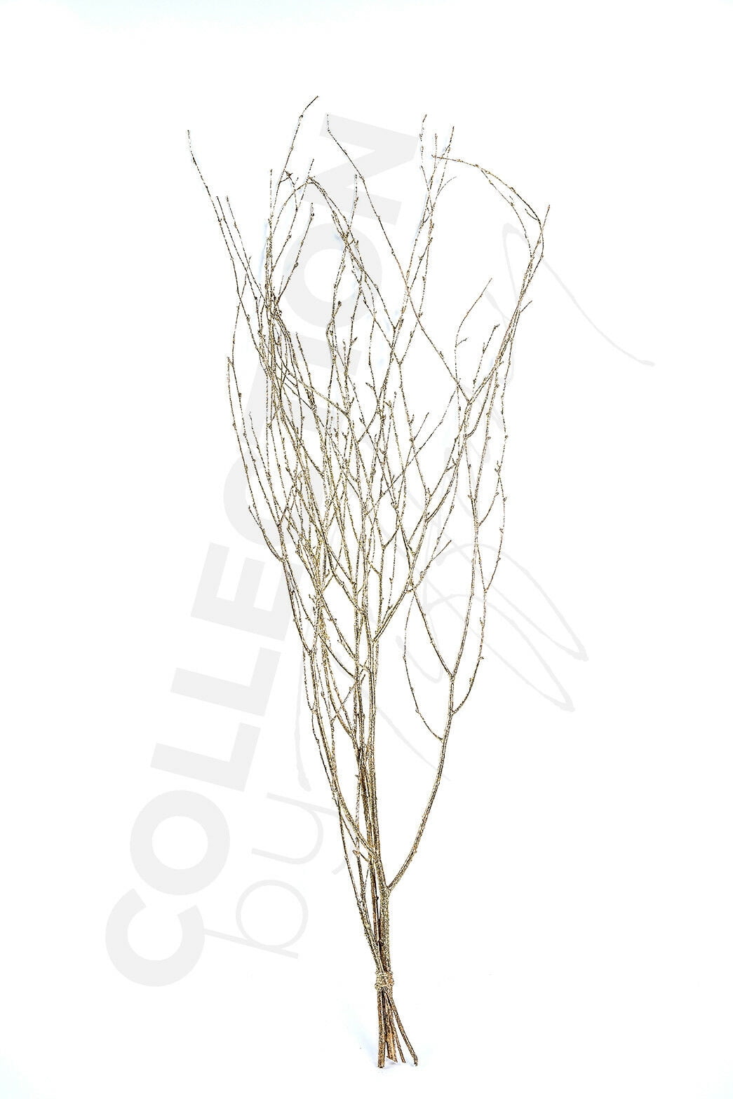 Decorative Dried Birch Branches 3 4 Ft Tall (4 5 Branches / Bunch
