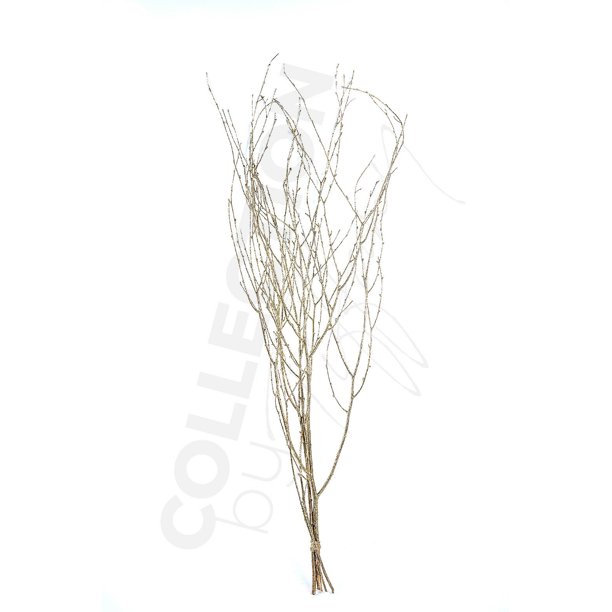 Decorative Dried Birch Branches 3 4 Ft Tall (4 5 Branches / Bunch) Gold