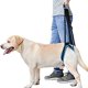 thumbnail image 2 of Dog Lifting Harness, Dog Rear Leg Harness, Sling Strap, Portable Aid for Weak Legs, Stand-Up Support, Balance, Lift Support Harness, Dog Rear Lifting Harness, 2 of 5