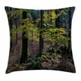 thumbnail image 1 of Forest Throw Pillow Cushion Cover, Natural Scenery Trees Autumn Season in Woods Wilderness Rural Growth Eco Photo, Decorative Square Accent Pillow Case, 20 X 20 Inches, Green Light Pink, by Ambesonne, 1 of 2