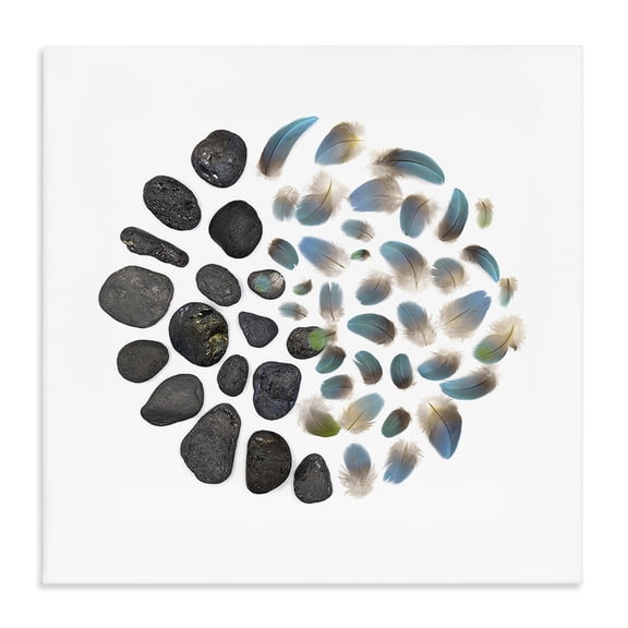 Stupell Industries Modern Feathers & Rocks Collection Canvas Art, 17 x 17, by Beth Adoette