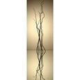 thumbnail image 2 of Burkhart, Monika 11x24 Black Ornate Wood Framed with Double Matting Museum Art Print Titled - Still Life Reflections IV, 2 of 4