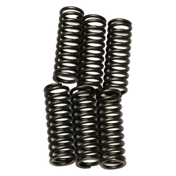 EBC CSK92 - CSK Series Heavy Duty Clutch Spring Kit