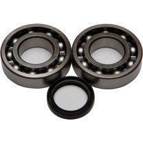 NEW ALL BALLS - 24-1081 - Crank Bearing and Seal Kit Kawasaki·KX250 F RMZ 250