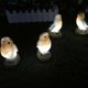 thumbnail image 5 of 2 Pack Solar Powered Bird Shaped Led Solar Lights Garden Decor Waterproof Outdoor Yard Lights, 5 of 5