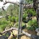 thumbnail image 4 of Rama de Árbol Bender de Acero Modulador inoxidable de Rama de la Rama Ajuste de Troncal para Herramienta de Jardinería, 4 of 7