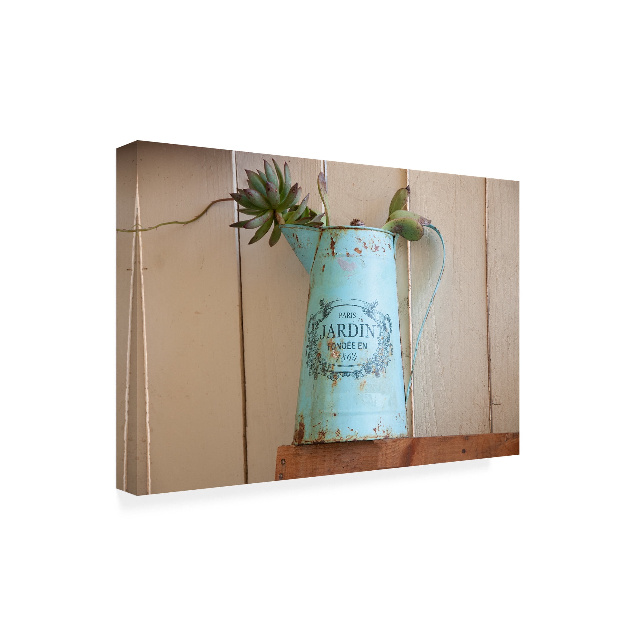 Canvas Wall Art - Lori Hutchison 'French Watering Can' Wall Art for Living Room, Bedroom, or Office Décor by Trademark Fine Art - 19 x 12 Inches