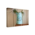 thumbnail image 3 of Canvas Wall Art - Lori Hutchison 'French Watering Can' Wall Art for Living Room, Bedroom, or Office Décor by Trademark Fine Art - 19 x 12 Inches, 3 of 4