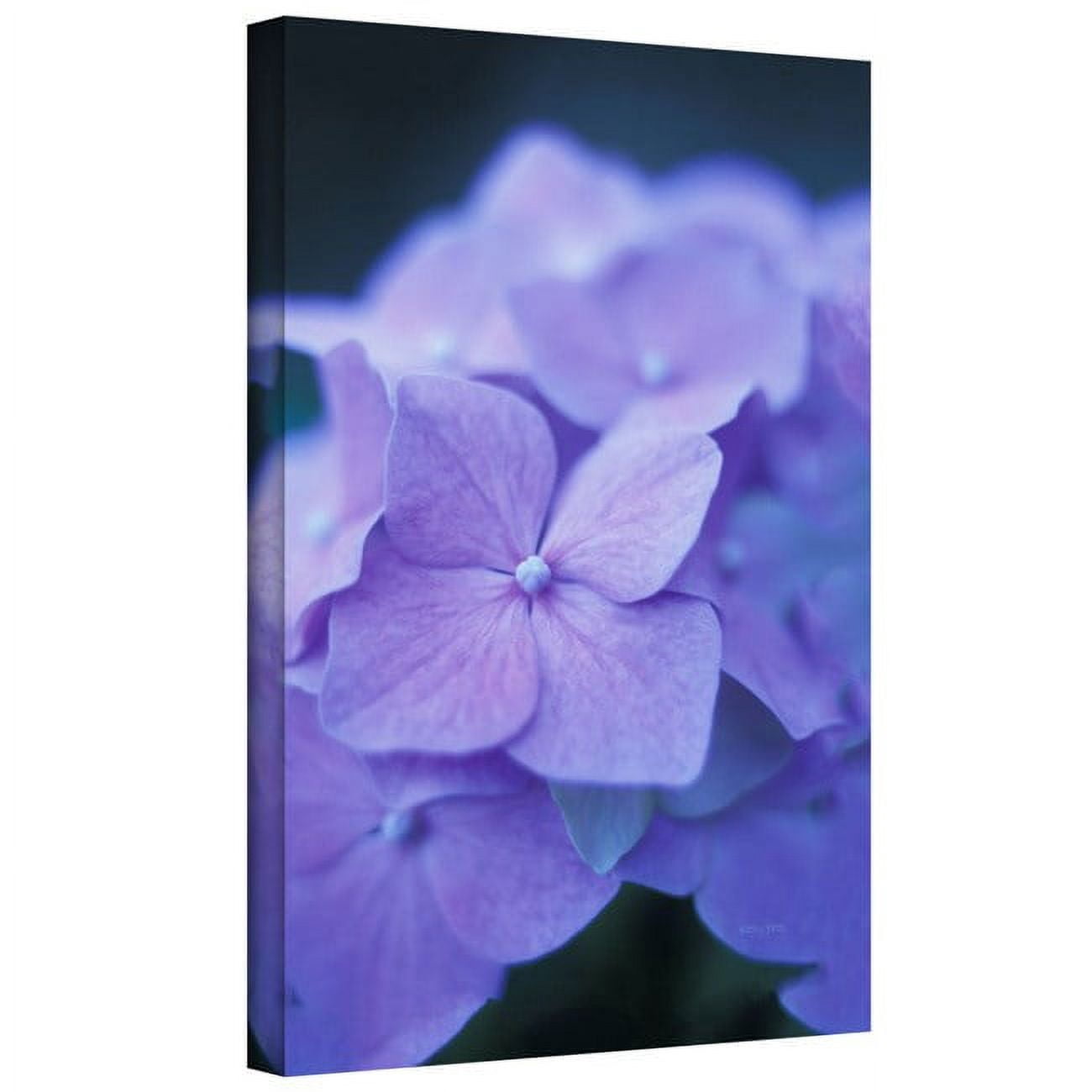 ArtWall Kathy Yates "Blue Hydrangeas" Gallery-Wrapped Canvas