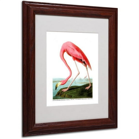 Trademark Fine Art "American Flamingo" Canvas Art by John James Audubon, Wood Frame