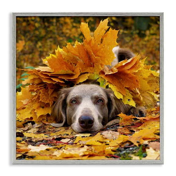 Stupell Industries Traditional Happy Puppy Autumn Foliage Gray Framed Giclee Art, 24 x 24, by Lil' Rue