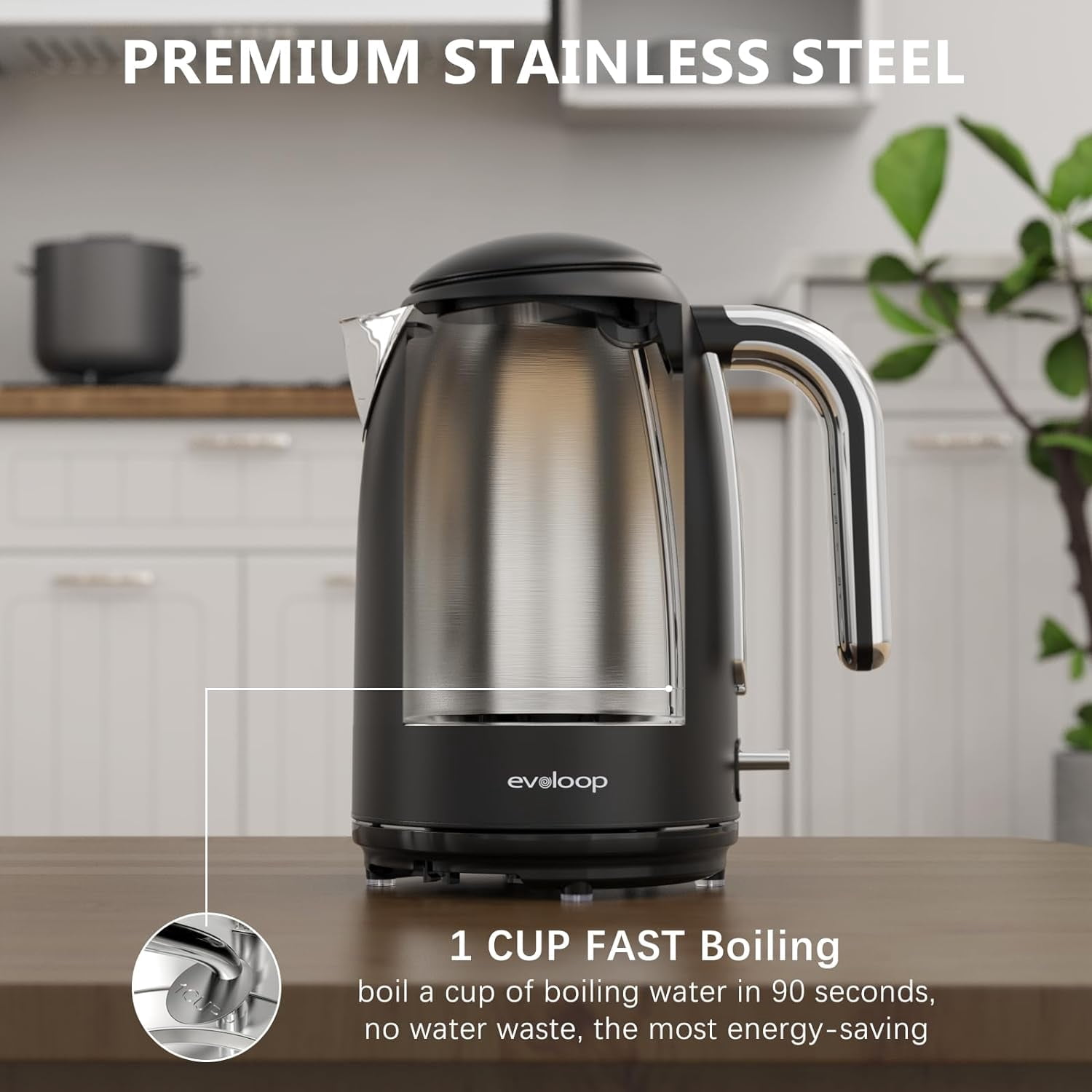 Evoloop Rapid Egg Cooker with Stainless Steel Design for Busy Families and Dorms