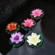 thumbnail image 1 of Wabjtam 5 Pieces Floating Artificial Lotus Decoration Floating Pond Decoration Water Lily Home Decor, 1 of 5