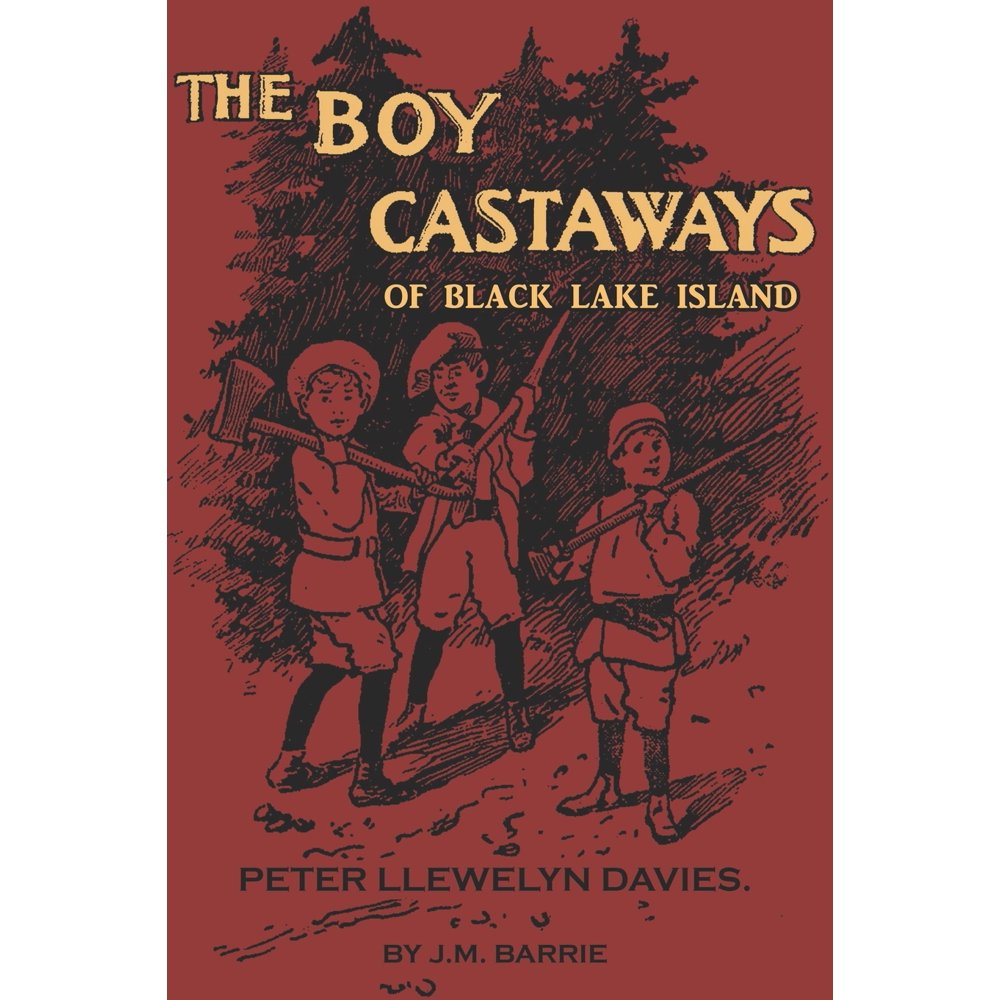 The Boy Castaways of Black Lake Island (Paperback)
