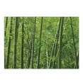 thumbnail image 1 of Bamboo Print Cutting Board, Exotic Tropical Forest Fresh Color Nature Wild Trees and Leaves, Decorative Tempered Glass Cutting and Serving Board, Small Size, Green, by Ambesonne, 1 of 1
