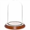 thumbnail image 3 of Plymor 3" x 5" Glass Display Dome Cloche (Walnut Veneer Base), 3 of 3