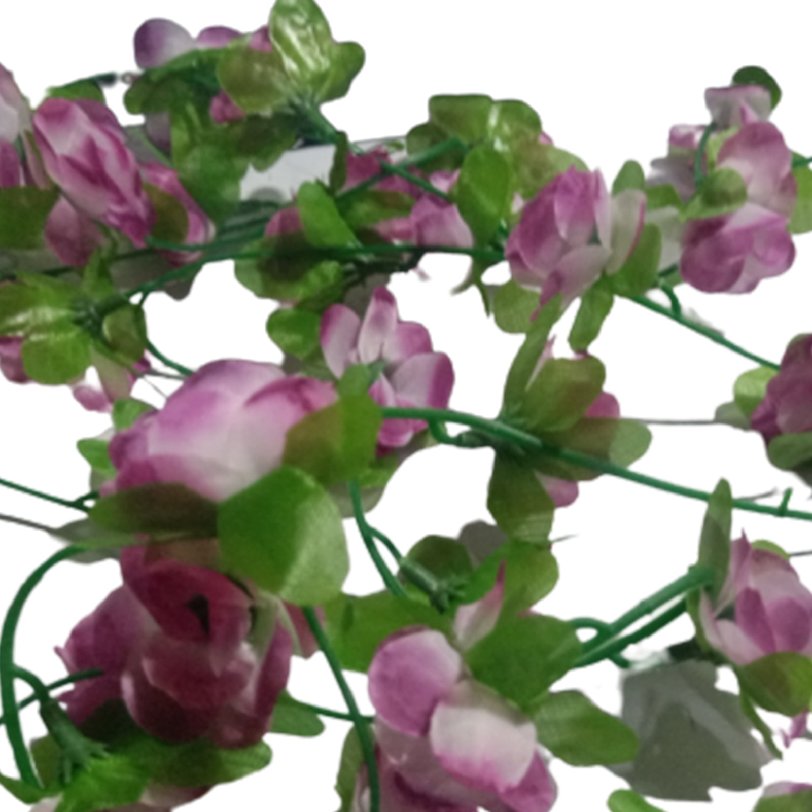 Details about   100pcs Purple Rose Climbing Rose Seeds Perennial Flower Garden Decor Home Plant 