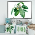 thumbnail image 3 of Flowering Mandarin With Branch 32 in x 16 in Framed Painting Canvas Art Print, by Designart, 3 of 4