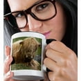 thumbnail image 2 of 3dRose, Highland cow, Farm animal, North Yorkshire, England - EU33 DWA0158 - David Wall, 11oz Two-Tone Black Mug, 2 of 7