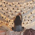 thumbnail image 5 of 50 Guirnaldas de Luces LED con 50 Clips Transparentes para Colgar Imágenes, Guirnaldas de Luces para Fotos con Clips - Pared de Dormitorio Perfecta, 5 of 5