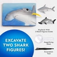 thumbnail image 2 of Kit científico de excavación Blue Marble National Geographic Shark, 2 of 6