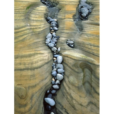 Rocks Caught in Sandstone Formations, Seal Rock Beach, Oregon, USA Coastal Coast Photo Print Wall Art By Jaynes