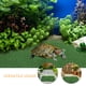 thumbnail image 3 of BRIGHTFUFU 2Ud Plataforma De Césped Artificial Para De Acuario Y Reptiles, 3 of 8