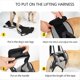 thumbnail image 5 of Arnés para Perros Mayores, Arnés de Soporte para Patas Traseras para Rehabilitación de Patas Traseras Débiles, Discapacidades y Lesiones, 5 of 6
