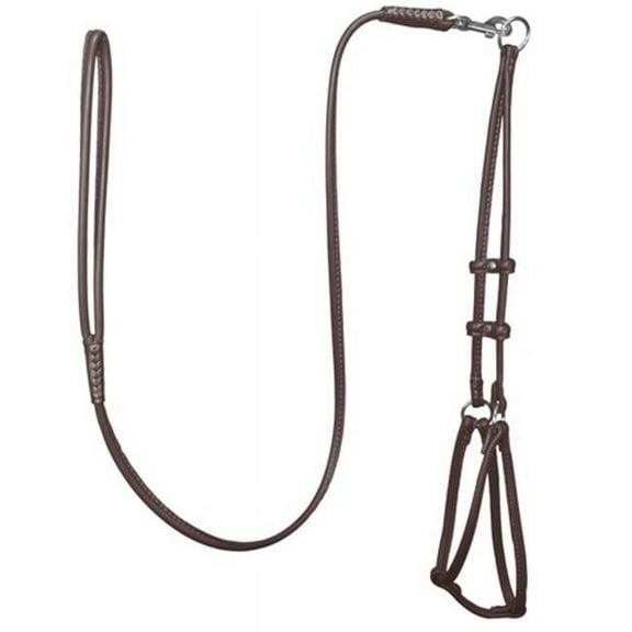 Elevate Your Pet's Style: Soft Leather Round Step-In Harness Round Lead Combo