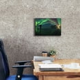 thumbnail image 4 of Epic Graffiti 'Person On Ice During Northern Lights' by Epic Portfolio, Giclee Canvas Wall Art, 18"x12", 4 of 8