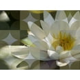 thumbnail image 2 of Bartola 14x12 Gold Ornate Wood Framed with Double Matting Museum Art Print Titled - Floral Design VI, 2 of 4