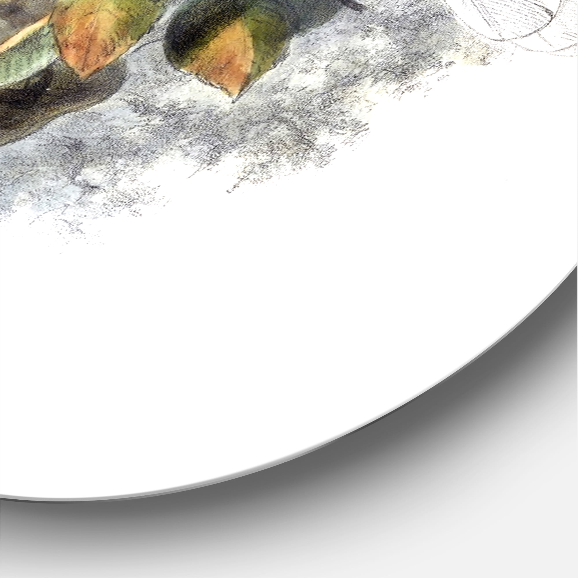 Designart 'Ancient Australian Birds XVI' Traditional Circle Metal Wall Art 23x23 - Disc of 23