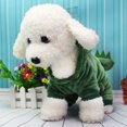 thumbnail image 3 of Ropa para perros, ropa para cachorros y mascotas, sudadera, camisa cálida, ropa de dinosaurio, abrigo cálido de lana de Coral para perros de invierno, 3 of 5