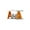 Orange, variant on Shoe Rack for Closet,Multi Layer Letter Shoe Rack - Small Cabinet for Household Doorstep Balcony Folding for Dorm