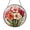 Acrylic 3.5 Inch, variant on Elegant Gladiolus August Flower Stained Glass Window Suncatcher, Botanical Art Hanging Decor