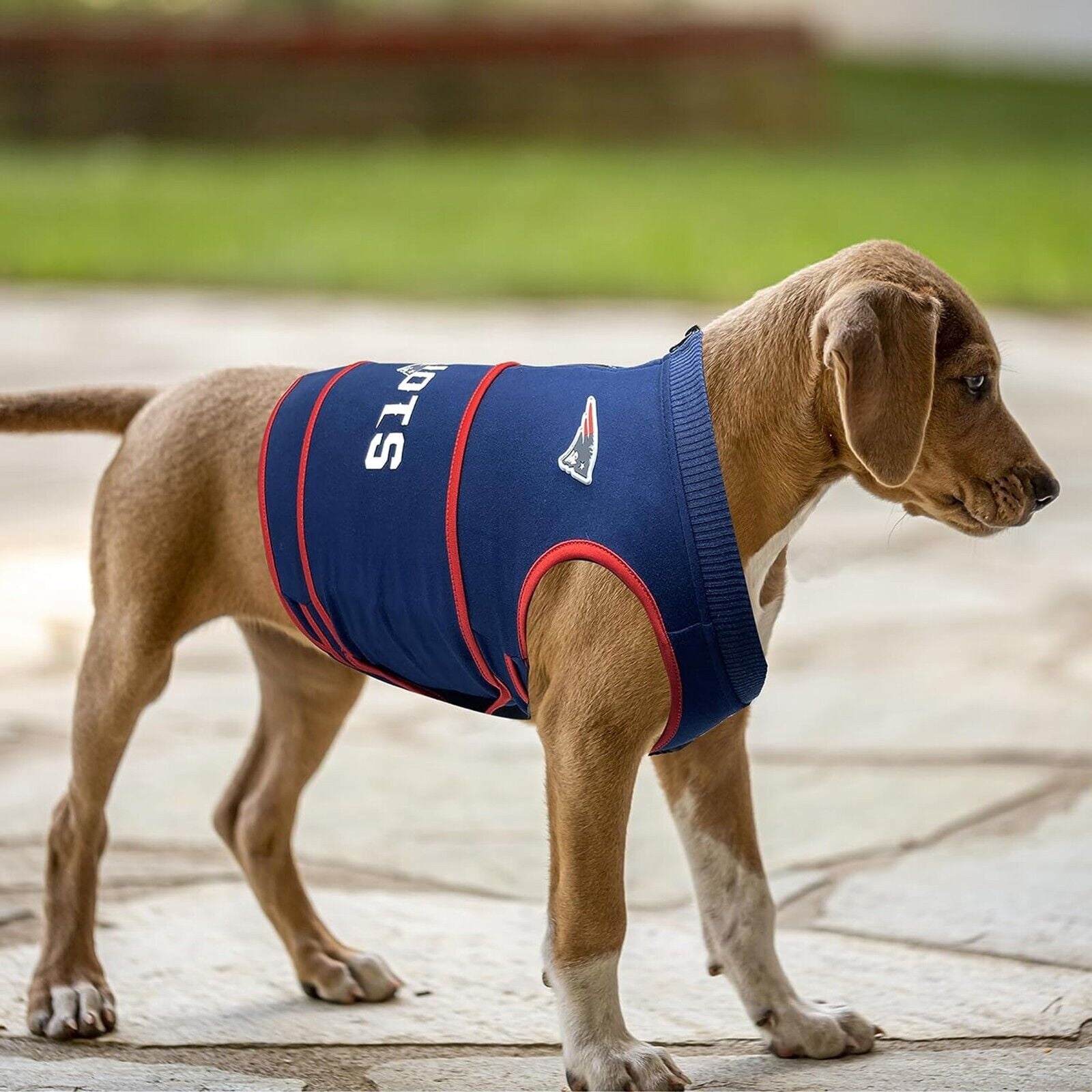 Pets First NFL New England Patriots Dog Anxiety Calming Shirt Soothing Solution Vest, Dogs & Cats Keeps Dogs Calm & Feeling Safe, Relaxing Jacket, Medium
