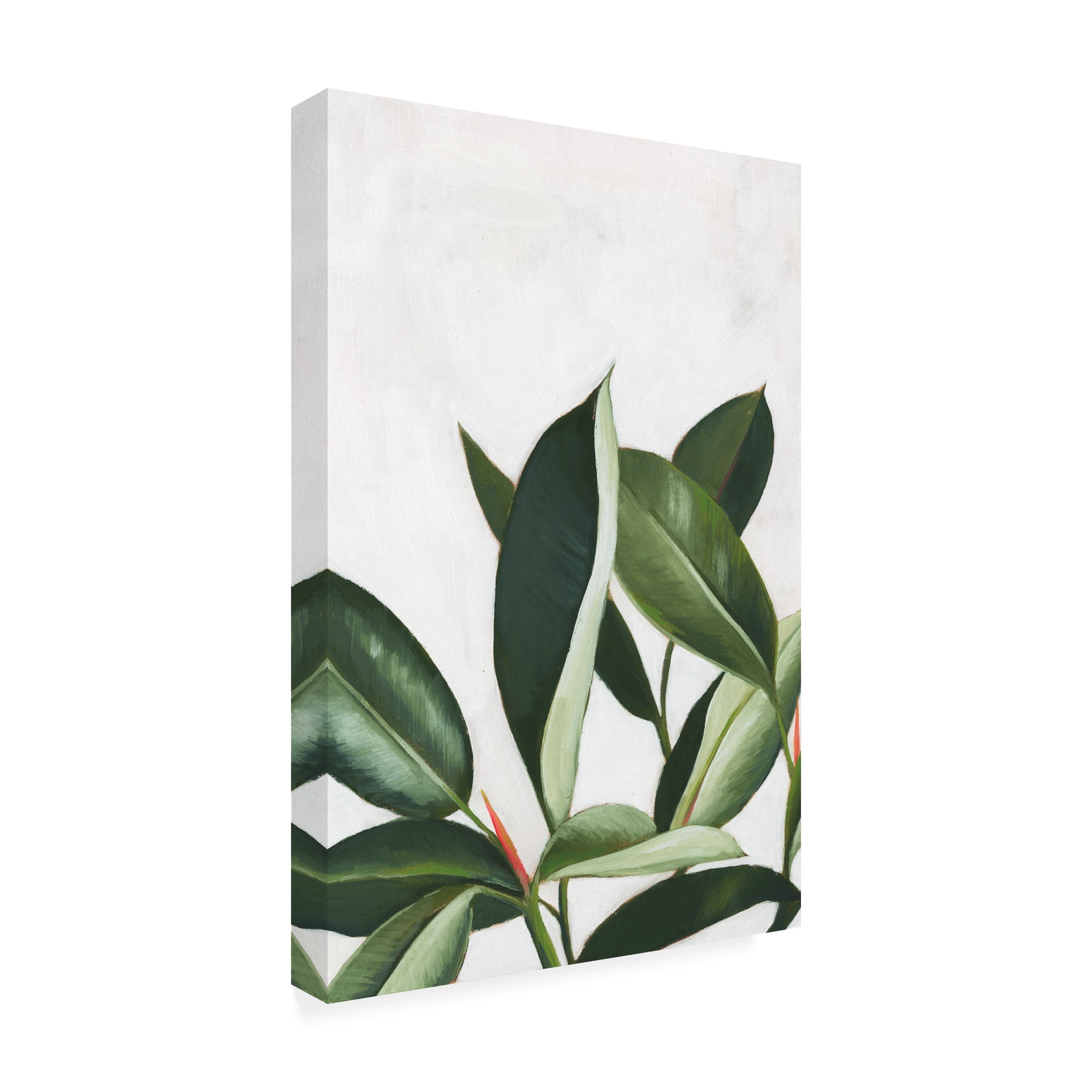 Trademark Fine Art 'Pura Vida IV' Canvas Art by Grace Popp