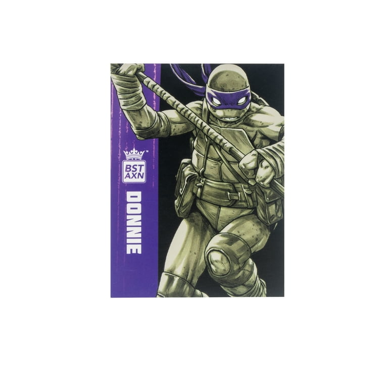 TMNT Deluxe Ninja Turtles Toys - Michaelangelo, Raphael TMNT Deluxe Ninja Turtles Toys - Michaelangelo, Raphael